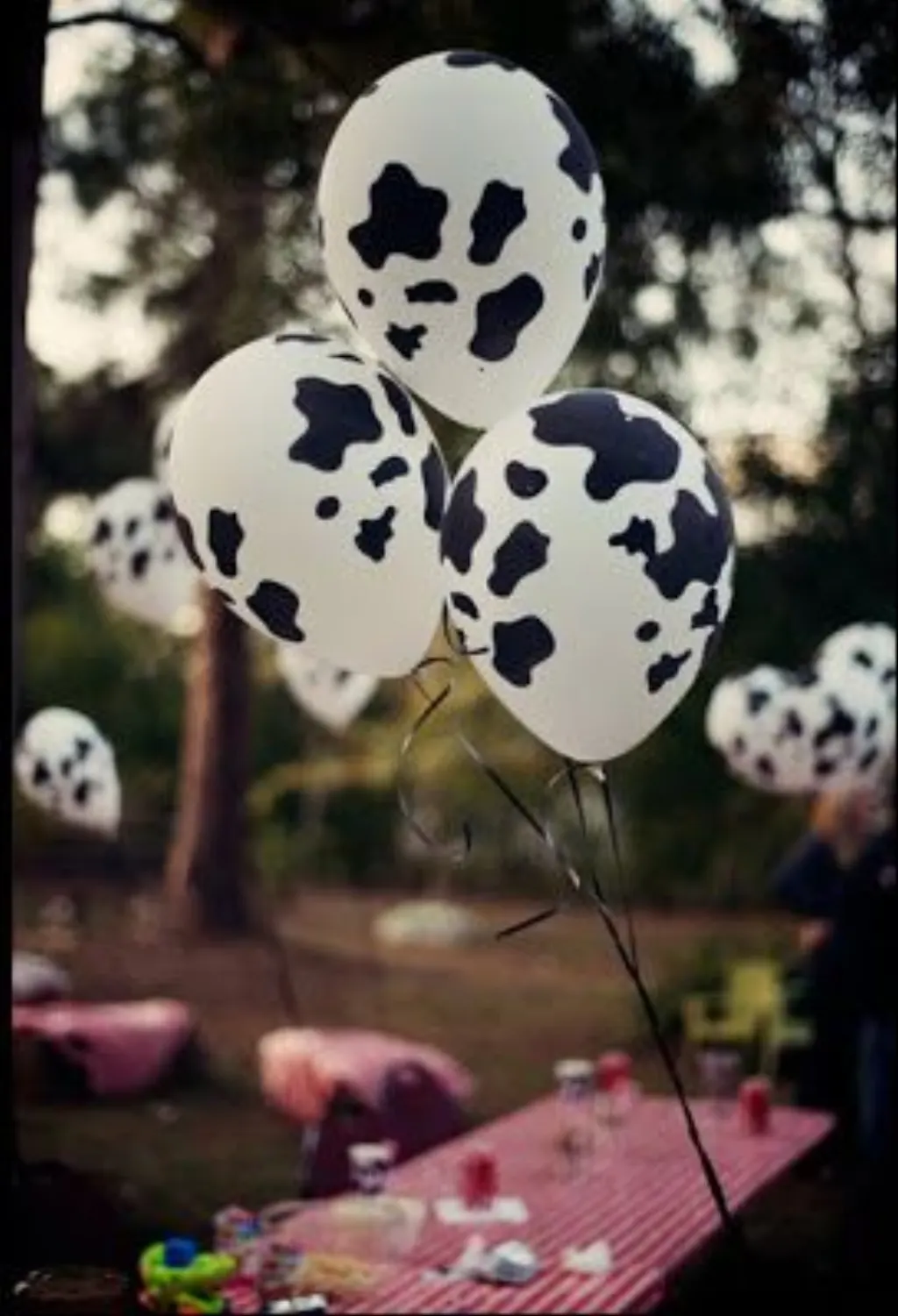 Sur Pinterest Farm Theme First Birthday Decor cow print balloons