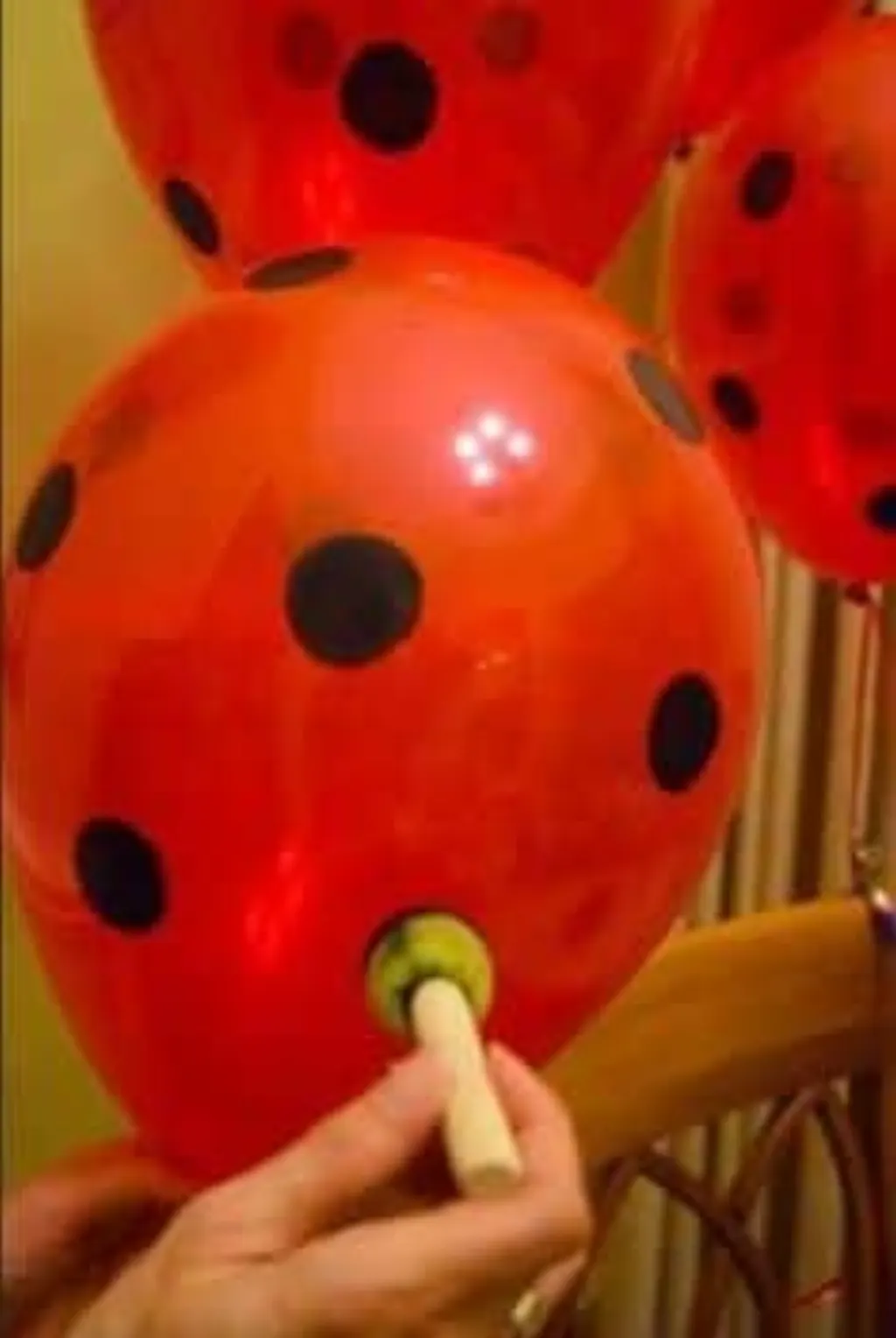 Sur Pinterest 30 ideas para una Fiesta Temática inspirada en Ladybug