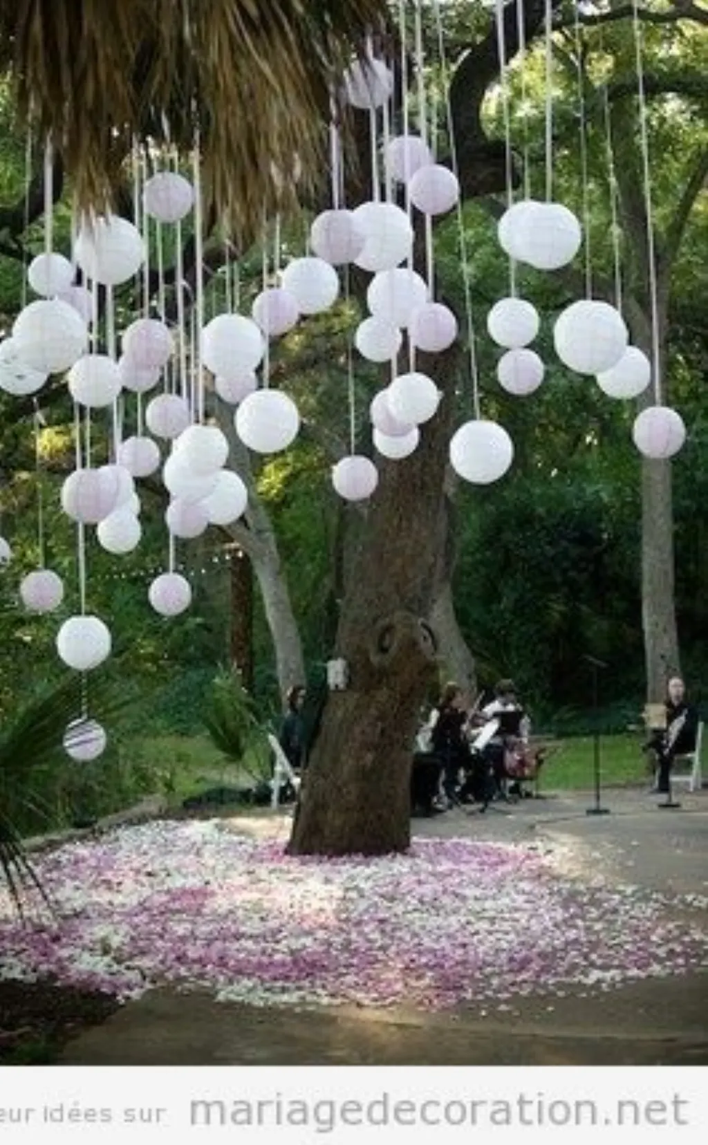 Sur Pinterest Ballons en rose et blanc pendus d’un arbre