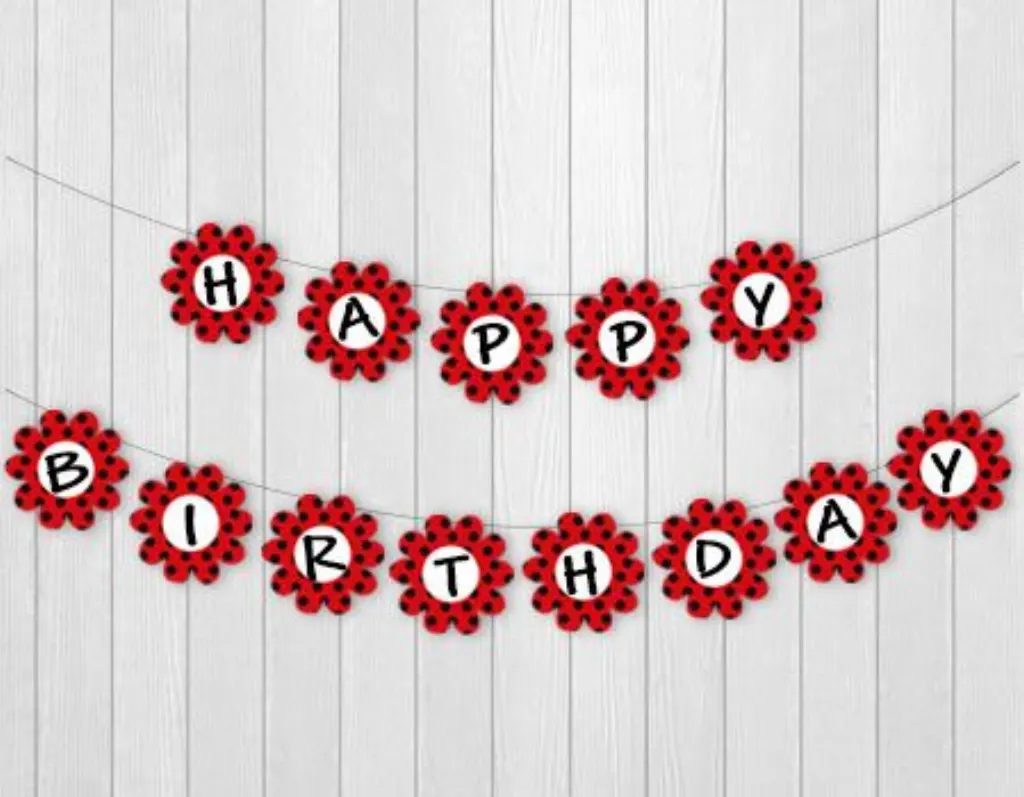 Sur Pinterest Interesting Ideas for a Ladybug-themed Birthday Party