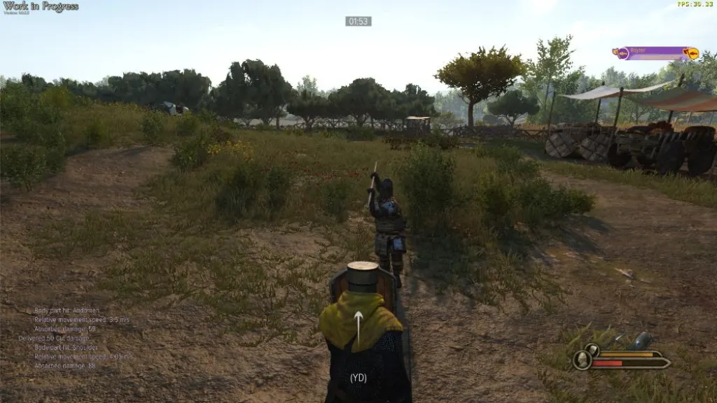 Bannerlord 1